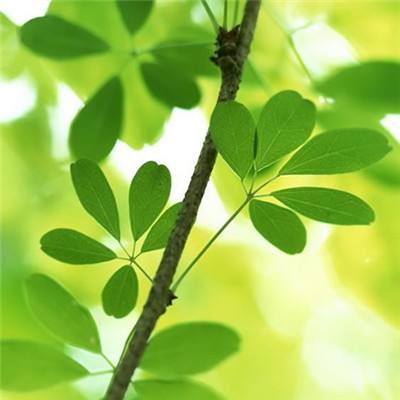 踏浪擎旗，立序新章 | 数字化、...